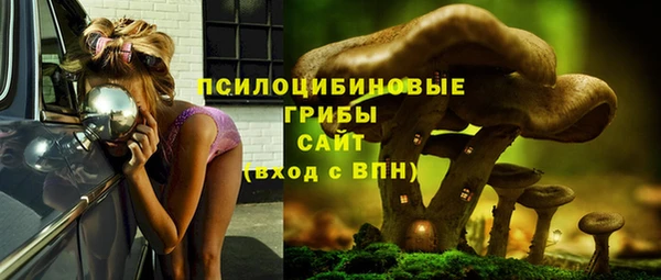 круглые Абаза