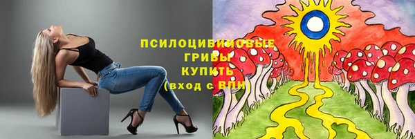 крисы Алзамай