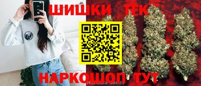крисы Гагарин
