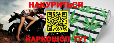 крисы Гагарин