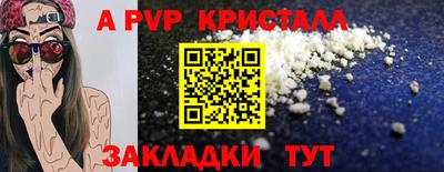 крисы Гагарин